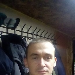 , , 41 
