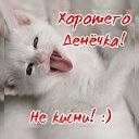 ���� ��������, �����-���������, 41 ��� - ��������� 19 ����� 2020 � ������ ���� ����������