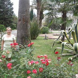 ���� �������, ����, 70 ��� - ��������� 23 ���� 2020