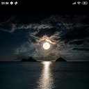 ���� �����, ���� - ��������� 4 ������ 2020 � ������ ������ ��������