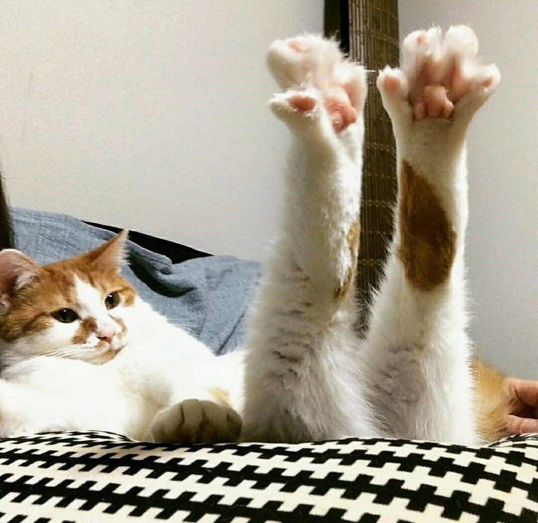 - �� ���������� � ���� ����! ��������... ������ - �����!... - 3