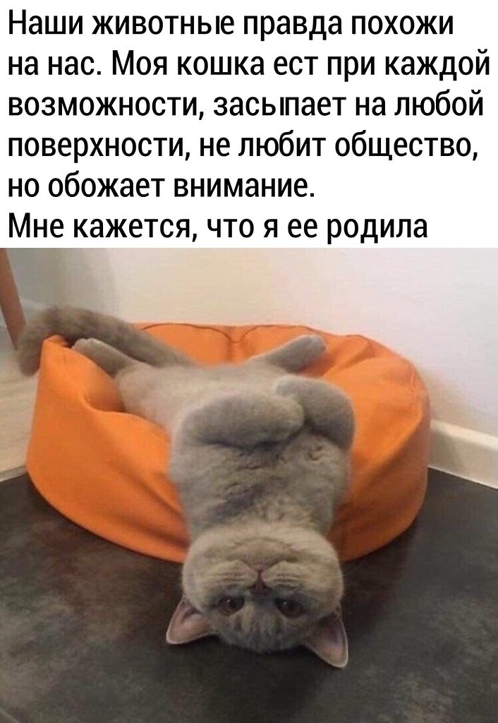    )