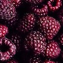 ���� ����, ���������, 47 ��� - ��������� 29 ���� 2020 � ������ ���� ����������