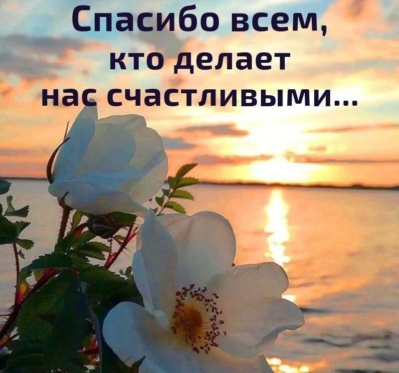 Больше всего я люблю отношения, построенные на обмене светом... ...люблю просто видеть, слышать или ...