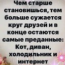 ���� ������, ������, 56 ��� - ��������� 15 ������ 2020 � ������ ���� ����������