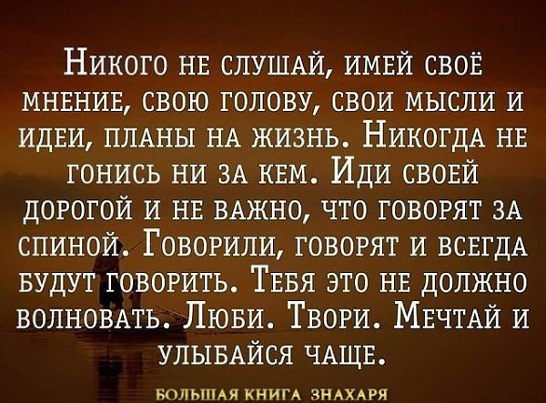   ,    . - 23  2020  14:17 - 4