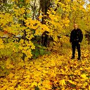 ���� ������� (����-�������), �����-���������, 49 ��� - ��������� 30 ����� 2020 � ������ ���� ����������