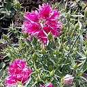  ,  -  3  2020     2020