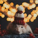 ���� ����, ������, 35 ��� - ��������� 21 ������ 2020 � ������ ���� ����������