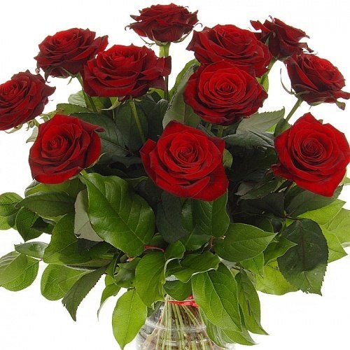   ,     ,   ,  ,    !  ...