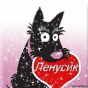 ���� ����, ���������� - ��������� 8 ���� 2020 � ������ ���� ����������