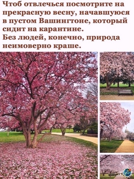  |  |   5 - 24  2020  18:58