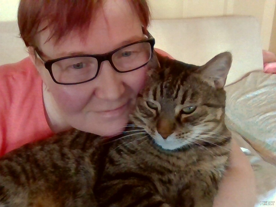 ������� - 20 ������ 2020 � 21:32