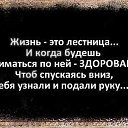  , , 55  -  12  2020    