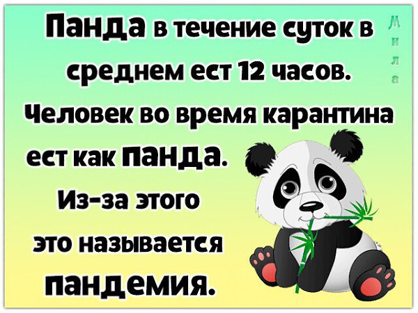 Zemlyanika - 20  2020  20:44 - 6