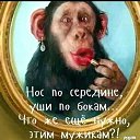 ���� �����, ��������� - ��������� 27 ������� 2020 � ������ ���� ����������