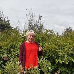 �����, ������, 65 ���