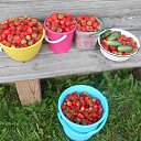  ,  -  19  2020    ))))