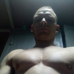 ������, ����������, 45 ���