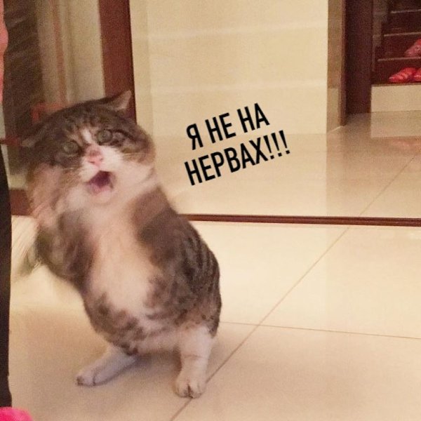     : - 3