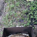 ���� ������ ��������, �����, 52 ���� - ��������� 11 ��� 2020 � ������ ��������������