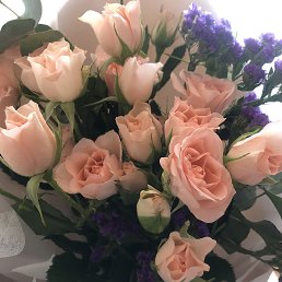 ���� ������, �����, 32 ���� - ��������� 11 ��� 2020