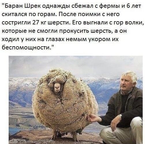    !