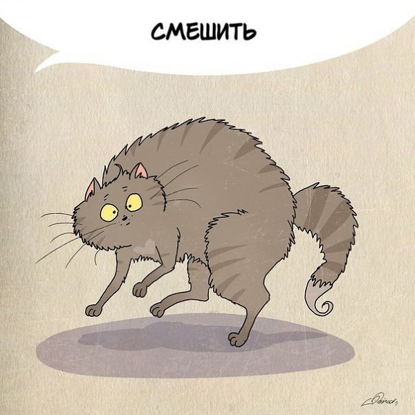 1 мapта отмeчается Дeнь кошeк. Нaм eсть чeму поyчиться у шeрстяных засрaнцев: - 2