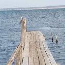 ���� ����, ������, 60 ��� - ��������� 12 ���� 2020 � ������ �������� ����_2019�