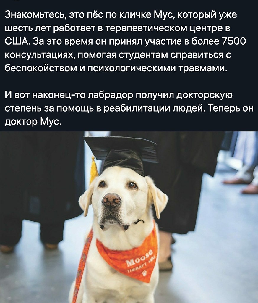    - 18  2020  20:30