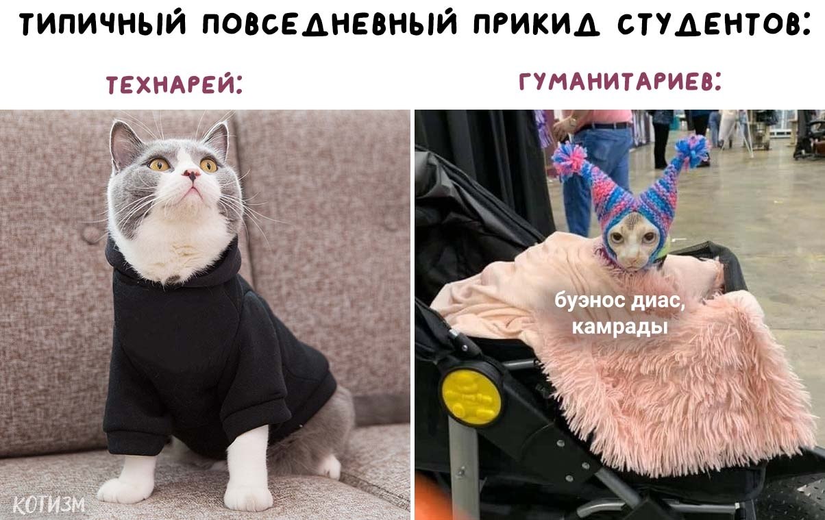 ������ - 17 ����� 2020 � 19:17