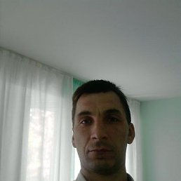 , , 53 