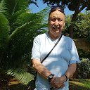 ���� ��������, ���-��, 80 ��� - ��������� 30 ������ 2020 � ������ ���� ����������