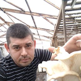 ���� ����, �������, 47 ��� - ��������� 4 ������� 2020