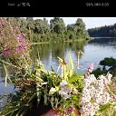 ���� �������, ����������, 50 ��� - ��������� 20 ������ 2020 � ������ ���� ����������