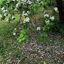 ���� ��������, Kouvola, 78 ��� - ��������� 10 ���� 2020 � ������ ������