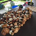 ���� ������, ������ - ��������� 28 ����� 2020