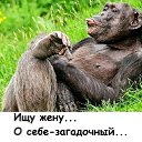 ���� ��������, ����������, 53 ���� - ��������� 23 ������� 2020 � ������ ���� ����������