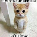 ���� �����, ������ - ��������� 17 ��� 2020 � ������ ���� ����������