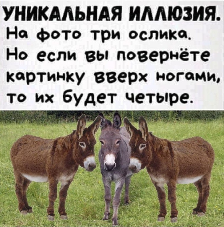    ... - 13  2020  16:26