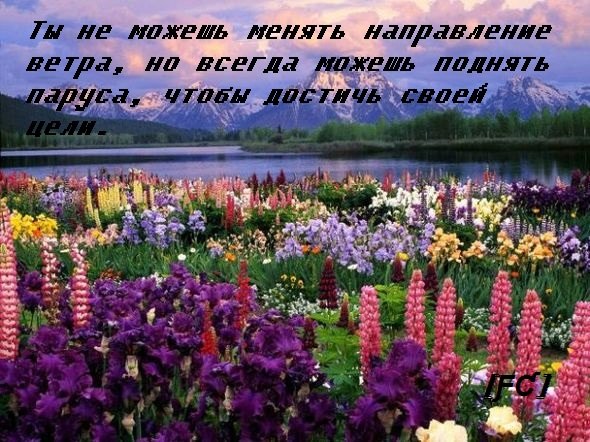 [ƑƇ] ƑƤƇŁŬƁ - 5  2020  10:21