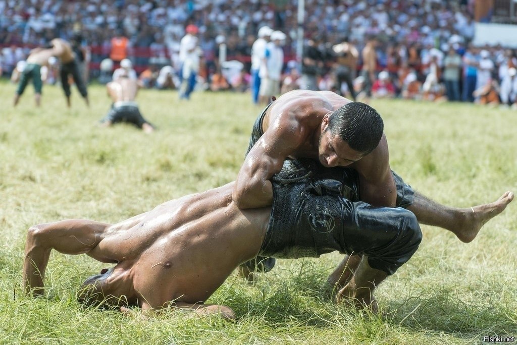 Oil wrestling. Турецкая Национальная борьба Киркпинар. Гюреш турецкая борьба. Масляная борьба гюреш в Турции. Турецкая борьба Киркпинар за яйца.