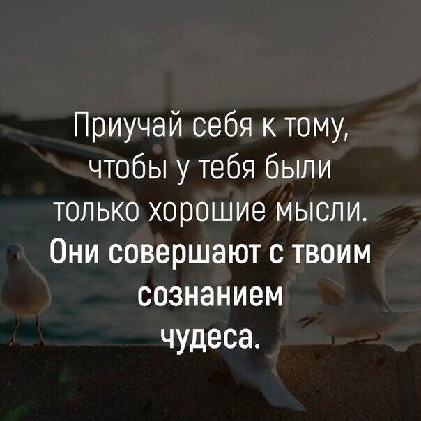    - 24  2020  18:46