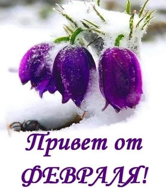  - 2  2020  18:40
