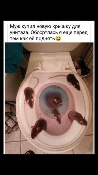       ,      ,   ,    ,  ...