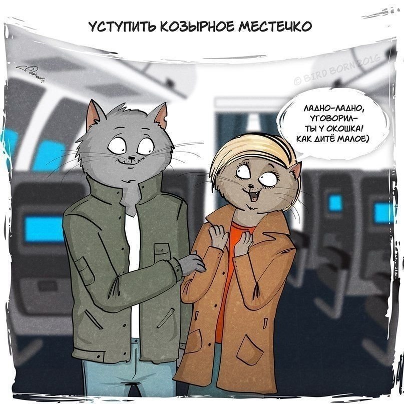 ,    - 6