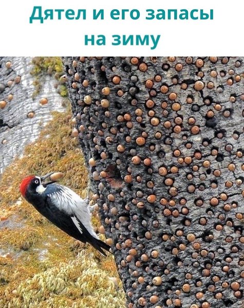 LIFE -  - 22  2020  19:06