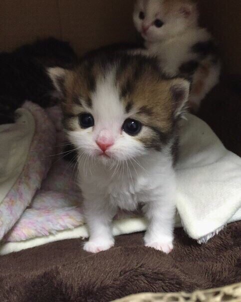       :3