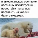 ���� ��������, ������ - ��������� 9 ���� 2020 � ������ �������� �����