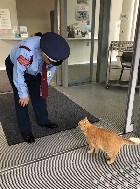 ,       ,    .  , ... - 4